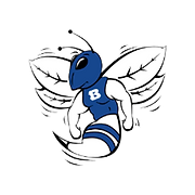 Hornet (1).png